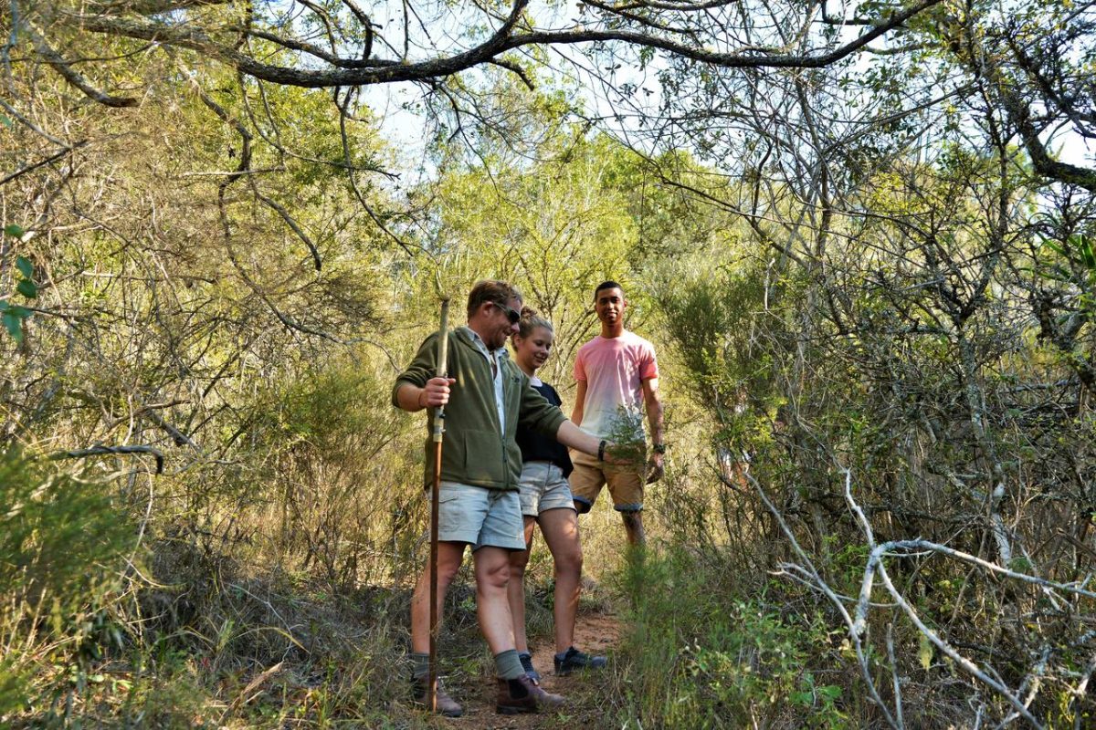 Cedarberg Travel | Sibuya Game Reserve Forest Camp