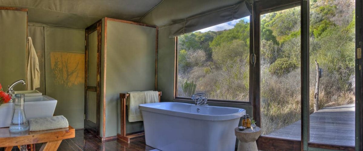 Cedarberg Travel | Amakhala HillsNek Safari Camp