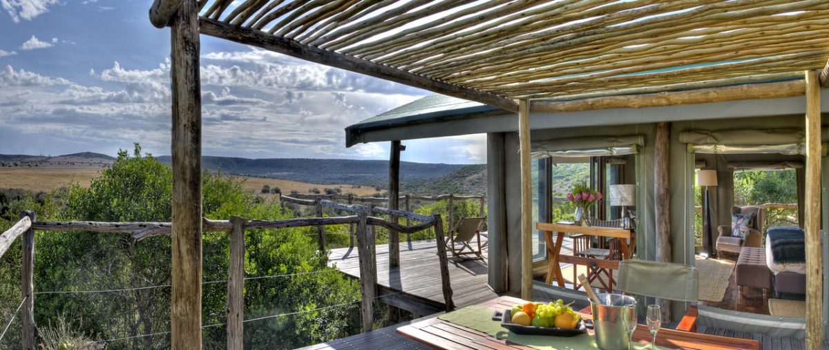 Cedarberg Travel | Amakhala HillsNek Safari Camp