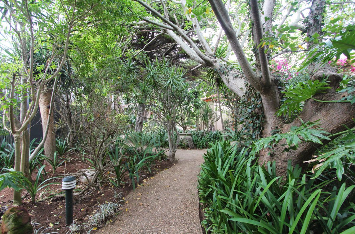 Cedarberg Travel | Singa Town Lodge