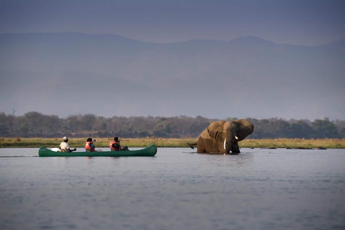 Cedarberg Travel | Family Safari in Botswana & Zimbabwe