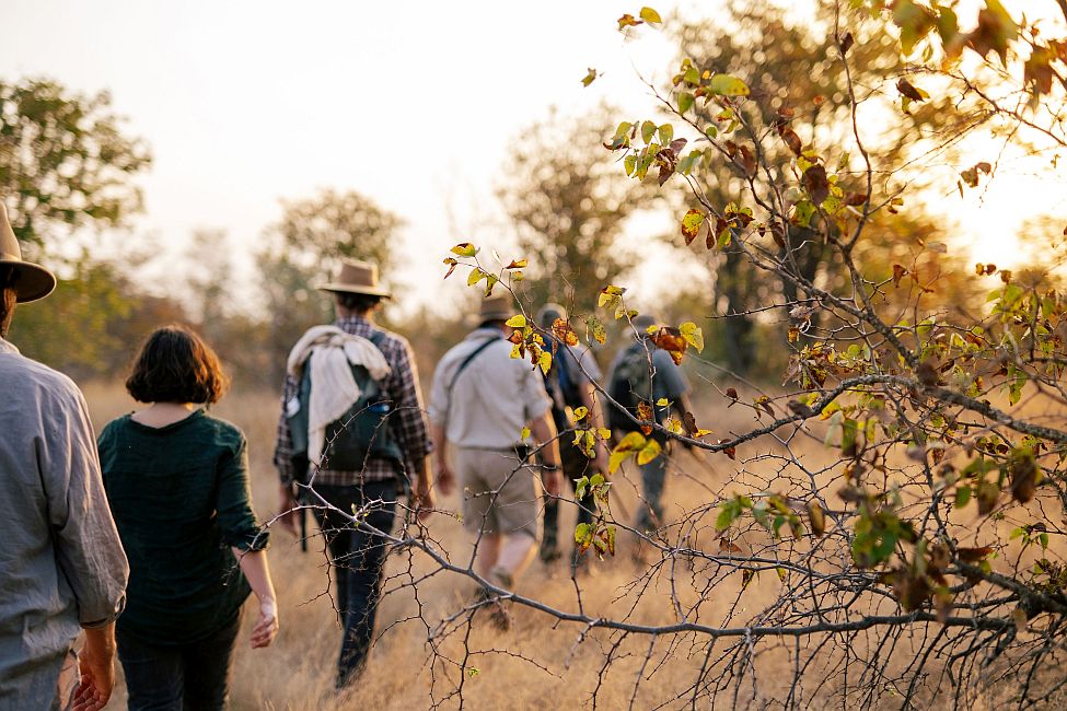 7 must-visit lodges for walking safari enthusiasts