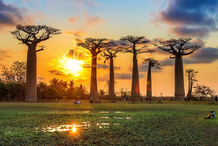 My Madagascar Safari Trip – But is it right for you?