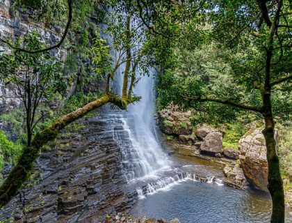Graskop Gorge Lift Experience
