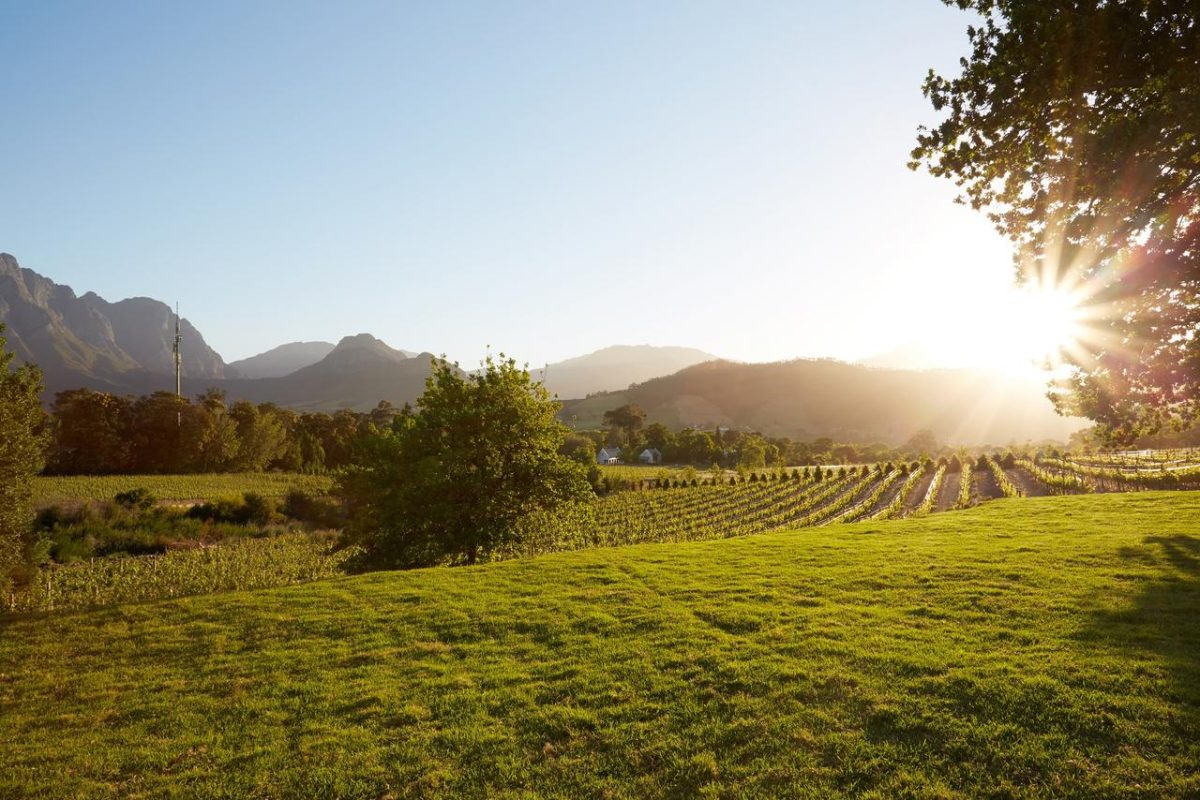 Cedarberg Travel | La Cotte Farm