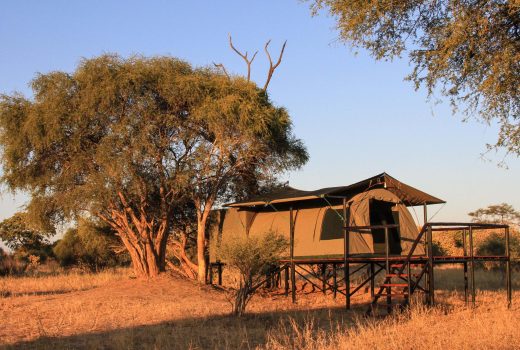Twin Tent