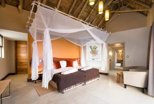 Luxury Rooms