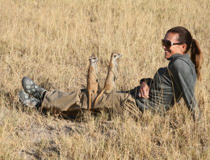 meerkat adventures experience