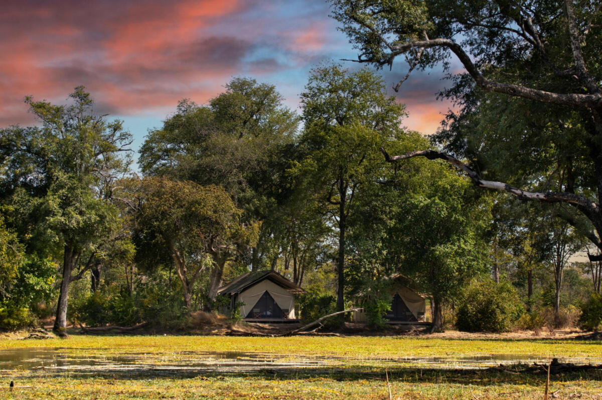Cedarberg Travel | Ingwe Pan Camp
