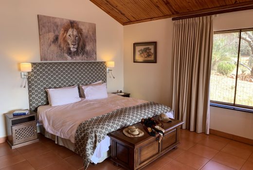 Lion Suite