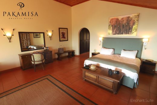 Elephant Suites