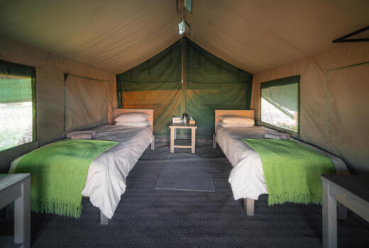 Twin tent