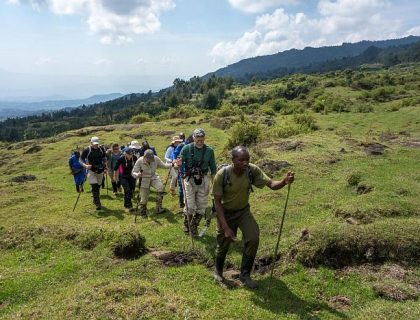 Gorilla Trekking at Volcanoes National Park