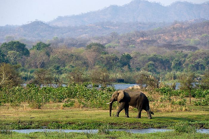 Majete Game Reserve