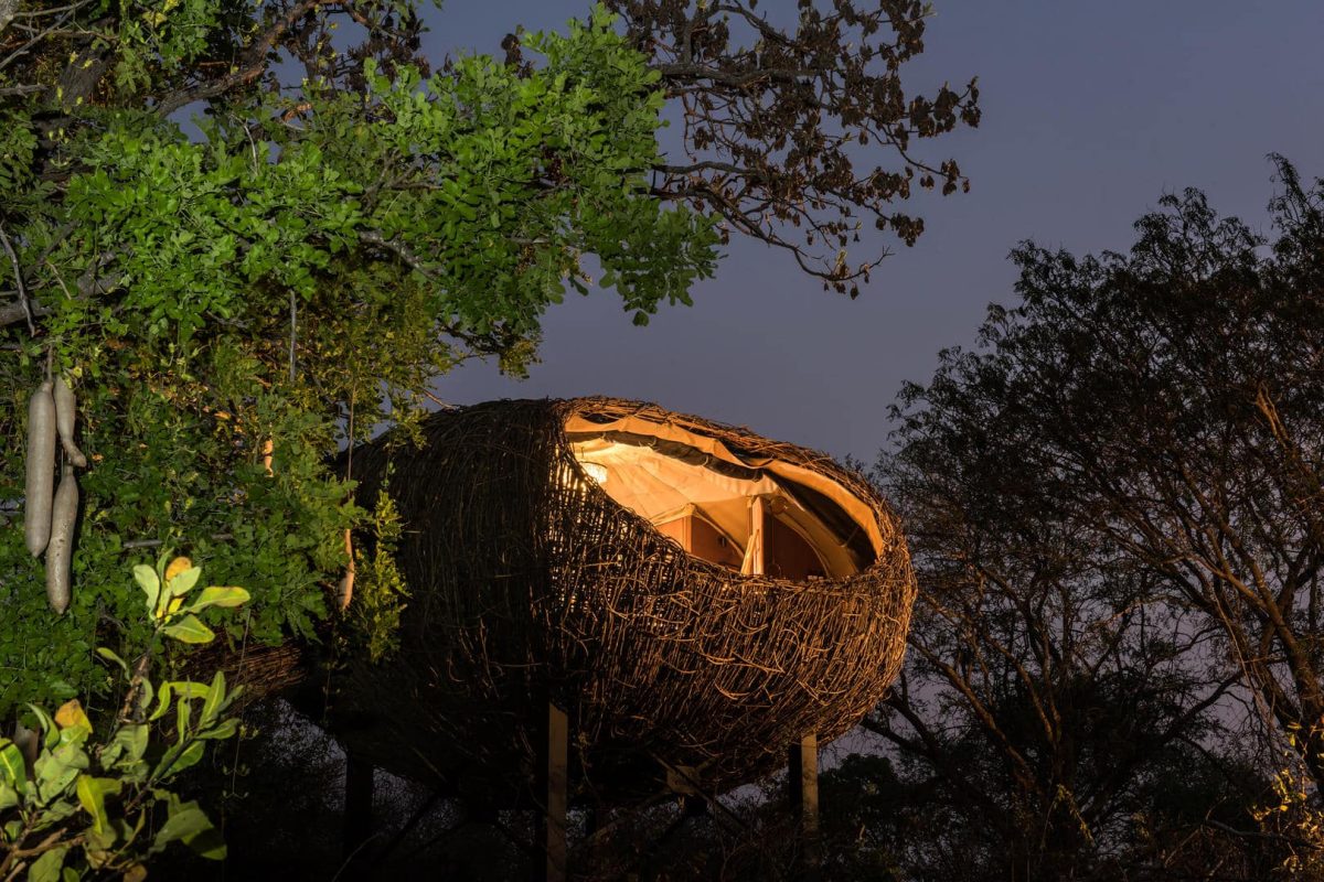 Cedarberg Travel | Chisa Busanga Camp