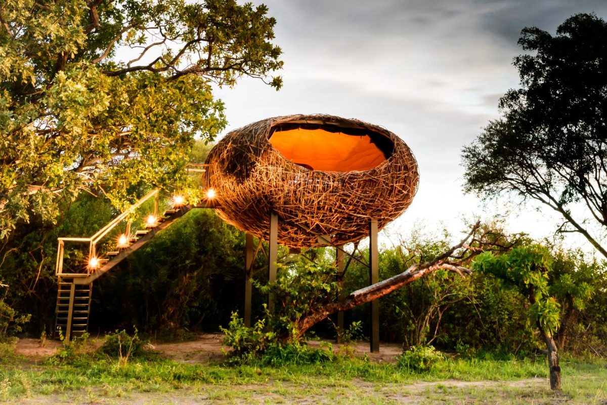 Cedarberg Travel | Chisa Busanga Camp