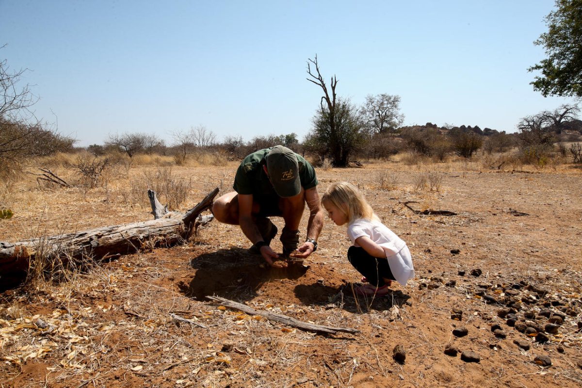 Cedarberg Travel | Mashatu Tuli Safari Lodge