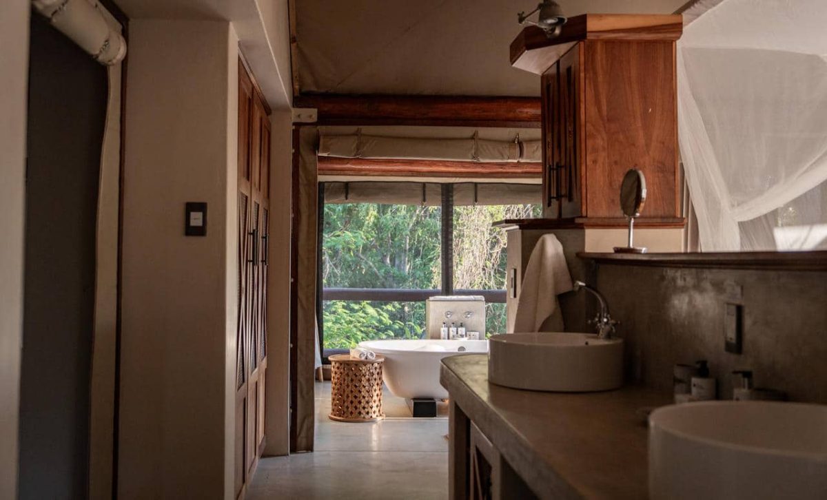 Cedarberg Travel | Mashatu Tuli Safari Lodge
