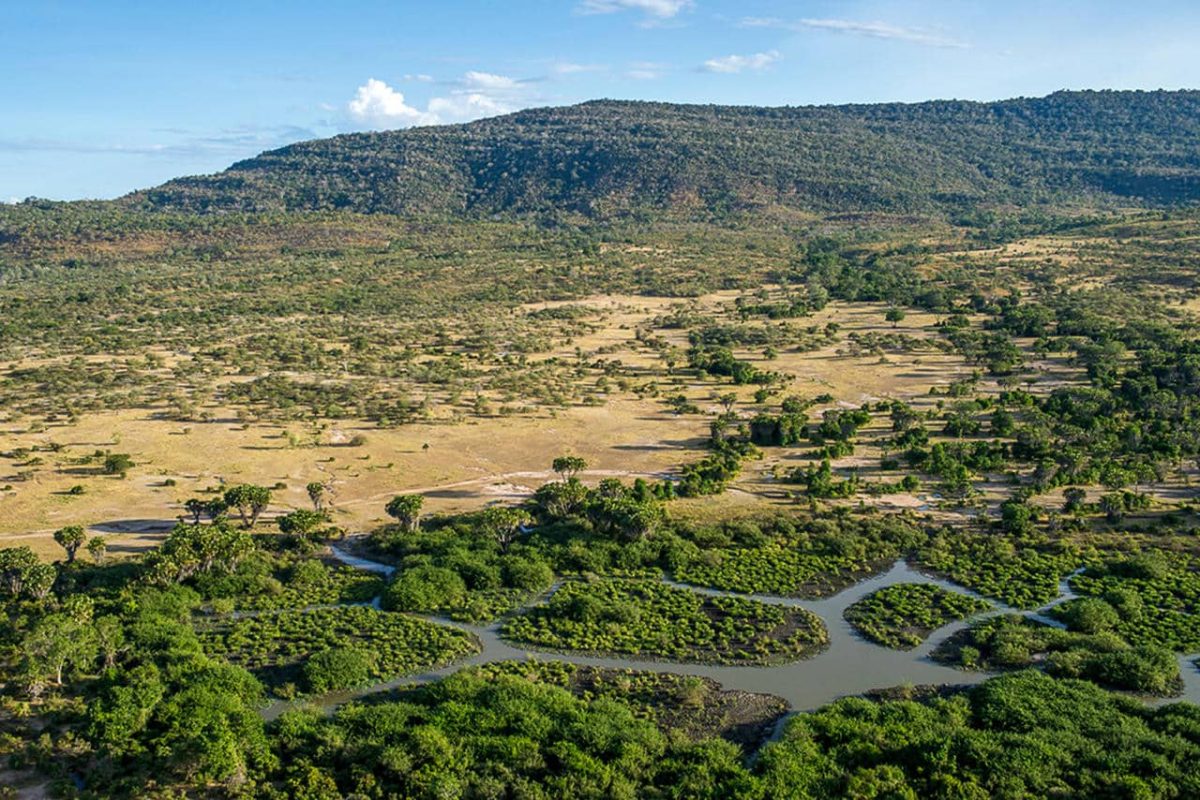Cedarberg Travel | Roho Ya Selous