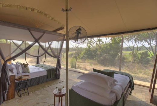 Family Guest Tent