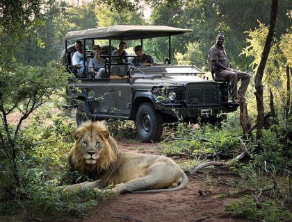 Green season safari in Madikwe