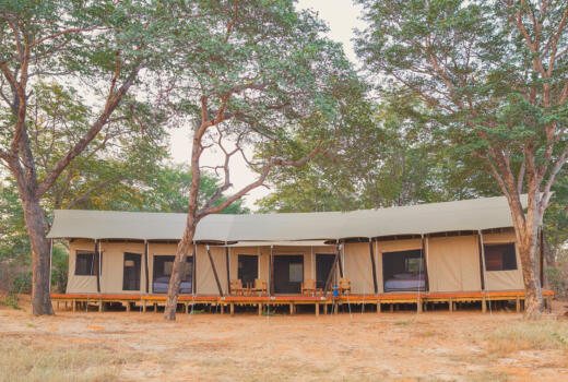  Family Tents 