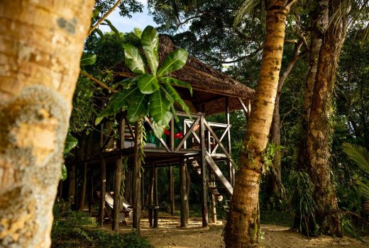 Treehouses