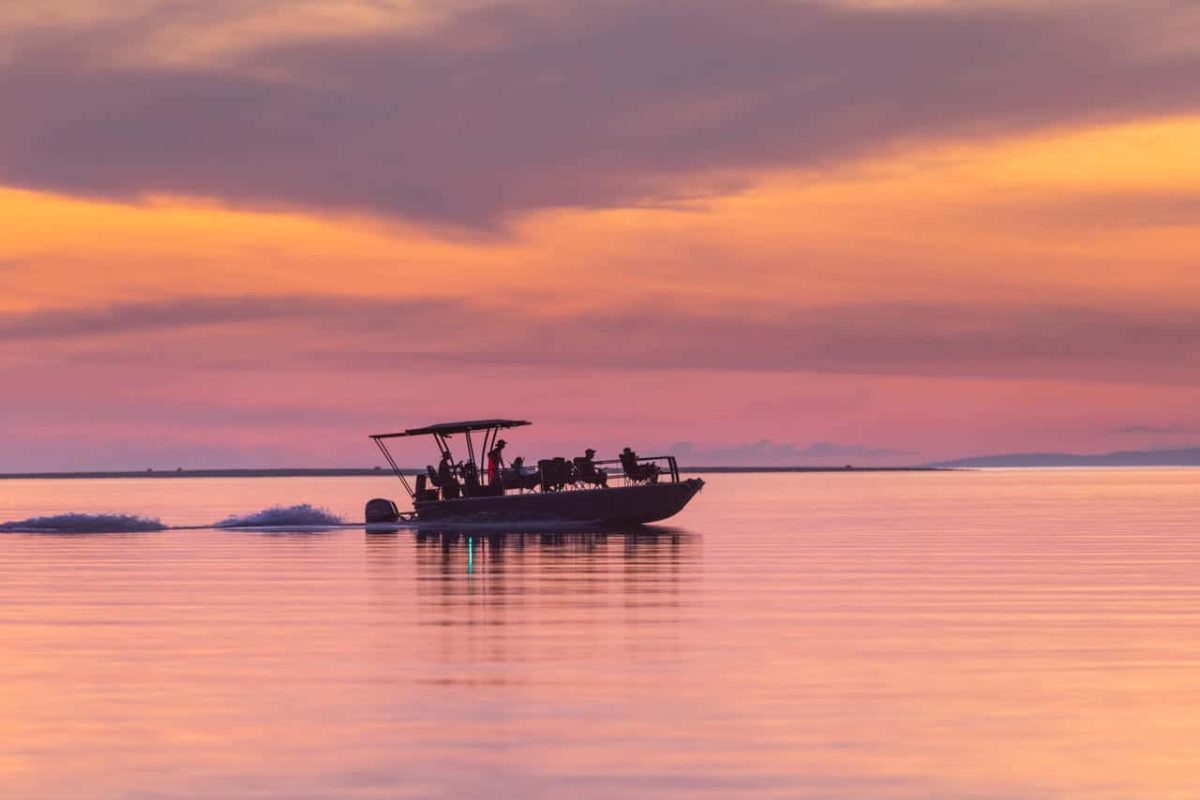 Cedarberg Travel | Fothergill Island