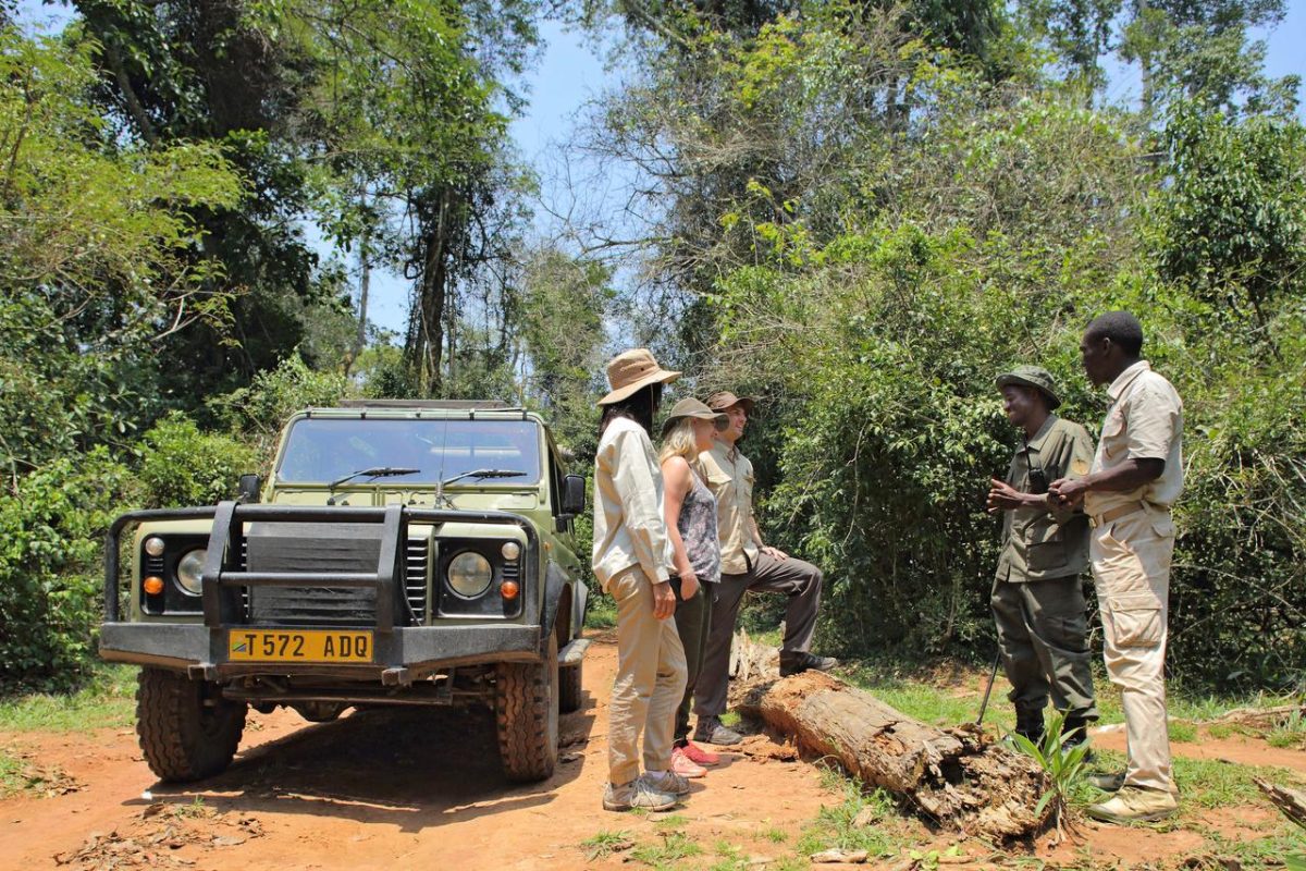 Cedarberg Travel | Rubondo Island Camp