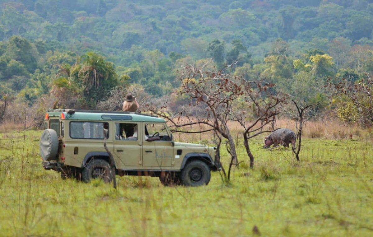 Cedarberg Travel | Rubondo Island Camp
