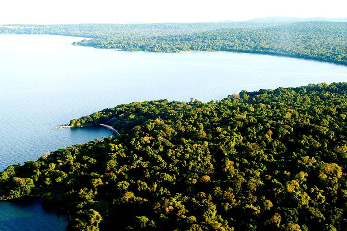 Cedarberg Travel | Rubondo Island Camp