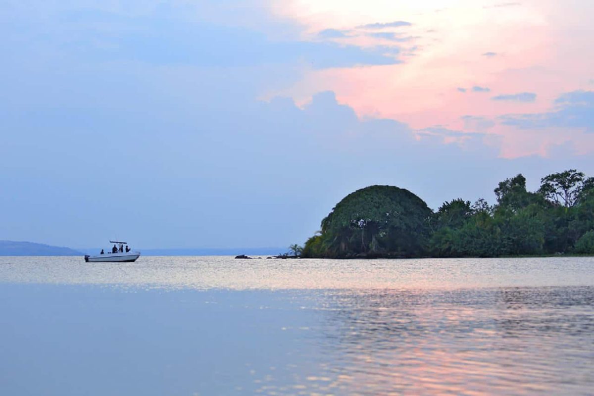 Cedarberg Travel | Rubondo Island Camp