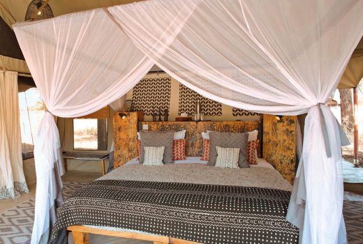 Family Tent