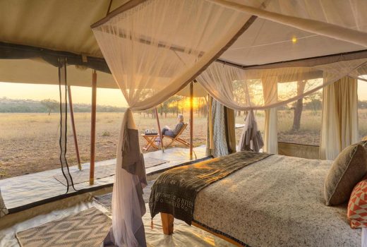 Guest Tents