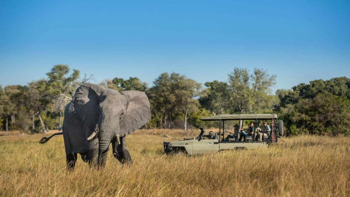 Cedarberg Travel | Elephant Pan Camp
