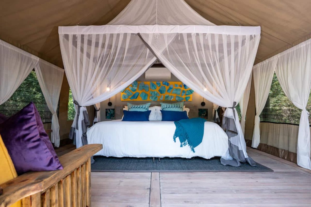 Cedarberg Travel | Thamo Telele