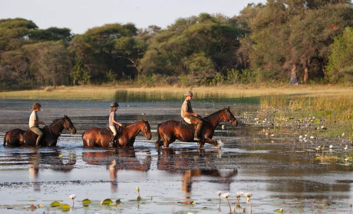 Cedarberg Travel | Thamo Telele