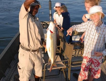 Tiger fishing on Lower Zambezi, Chongwe River camp