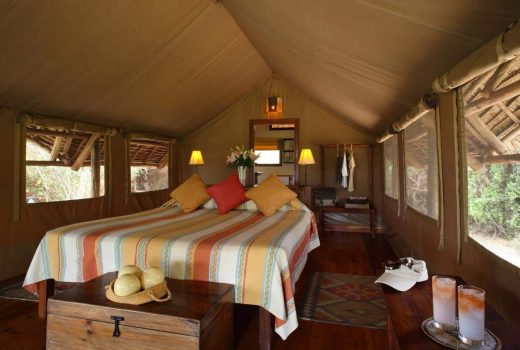 Safari Tents