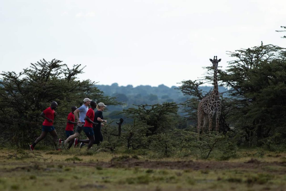 Cedarberg Travel | Angama Mara