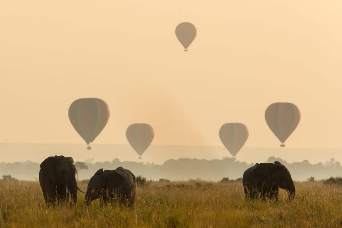 Cedarberg Travel | Angama Mara