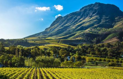 Our Top 10 New Luxury Lodges in Africa for Your Dream 2026 Trip