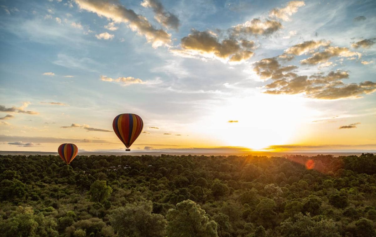 Cedarberg Travel | Angama Mara