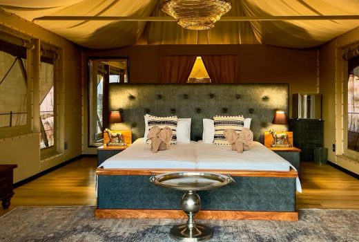 Premium Tent