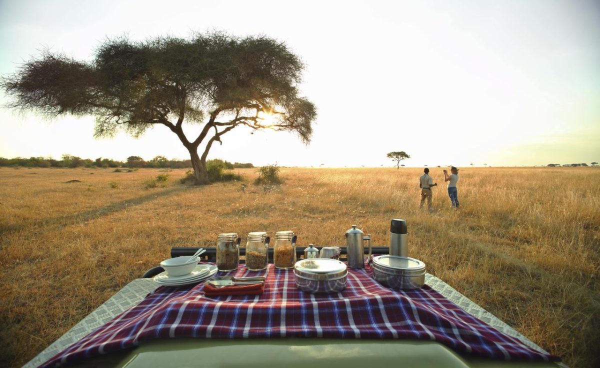 Cedarberg Travel | Ubuntu Migration Camp