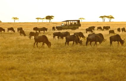 Ubuntu Migration Camp