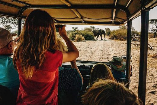 Family Safaris