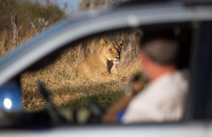 All you need (or want) to know about car rental in South Africa in 2026