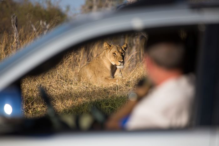All you need (or want) to know about car rental in South Africa in 2026