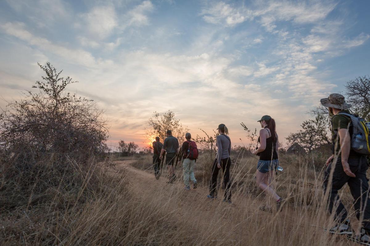 Cedarberg Travel | Africa on Foot Camp